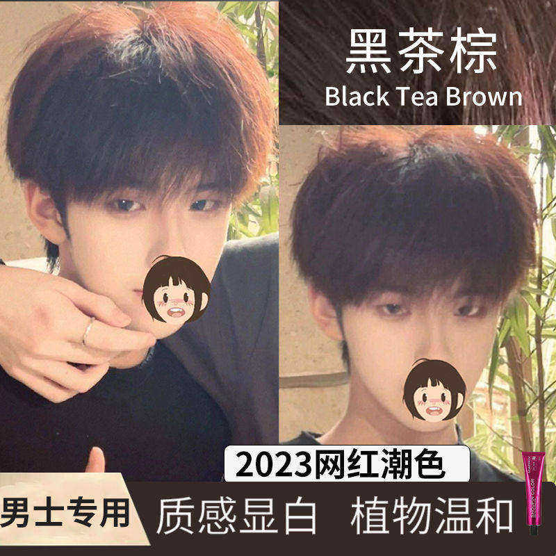 黑茶棕染发剂2025染发膏流行色男士专用植物自己在家染免漂蜜茶棕,美发护发/假发,盖白,淘宝优惠券,粉丝福利购,淘宝优惠卷