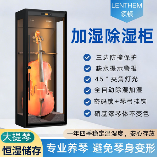 大提琴乐器加湿恒湿柜带密码锁