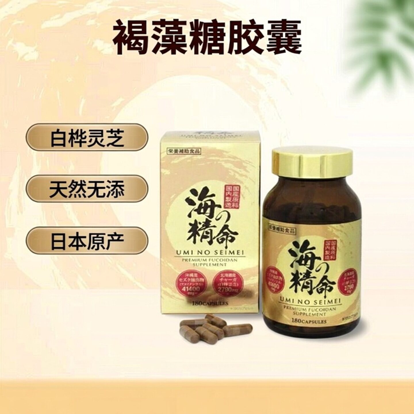 日本海の精命褐藻糖胶囊180粒 白桦灵芝成分 天然植物胶囊无添加