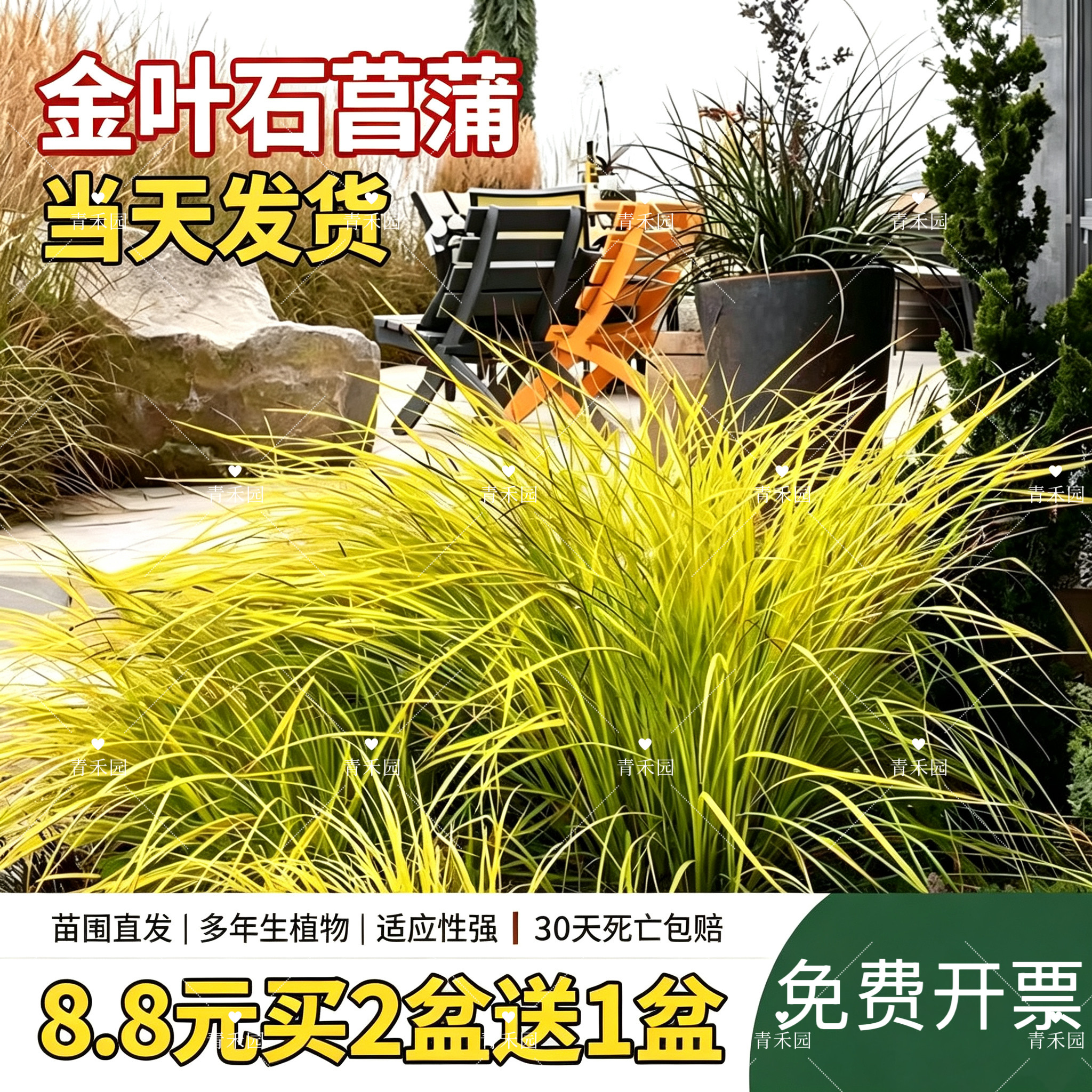 庭院别墅绿化工程四季好养造景