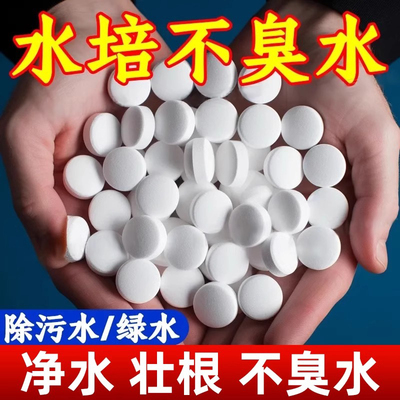 水培植物净水片富贵竹碗莲净水