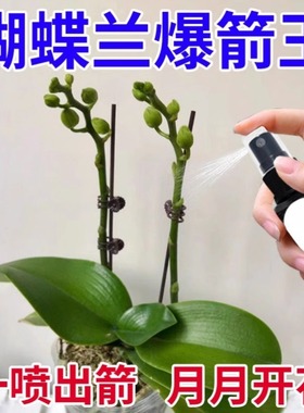 蝴蝶兰爆箭王植物营养液促花剑开花防黄叶兰花专用肥通用有机肥