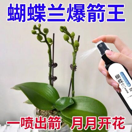 蝴蝶兰爆箭王植物营养液促花剑开花防黄叶兰花专用肥通用有机肥