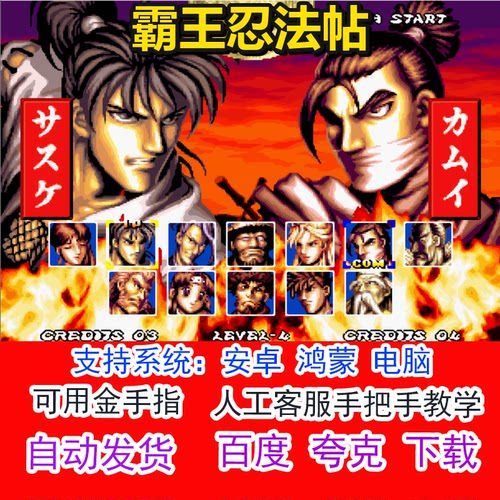 霸王忍法帖+可用金手指 pc电脑安卓鸿蒙单机游戏