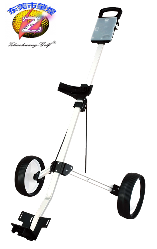 Sac de golf - Ref 41043 Image 1