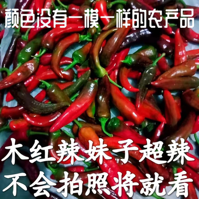 新鲜现摘紫青红辣妹子