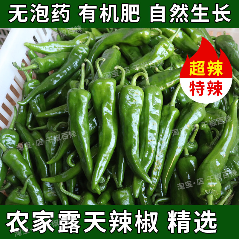新鲜辣椒辣妹子剁椒超辣土辣椒尖椒农家自种批发青椒农家土笨腌制,水产肉类/新鲜蔬果/熟食,辣椒,淘宝优惠券,粉丝福利购,淘宝优惠卷