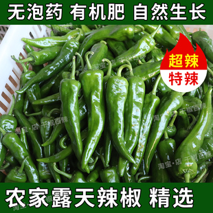 新鲜辣椒辣妹子剁椒超辣土辣椒尖椒农家自种批发青椒农家土笨腌制