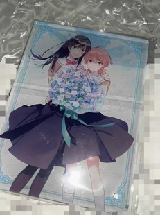 日版散单 终将成为你 亚克力立牌 摆件 特典 亚克力板配钢钉