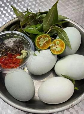 10枚越南屈头蛋毛鸭蛋活珠子越式小吃trung vit lon 生蛋含配菜