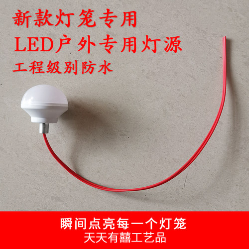 新款高亮度led灯笼一体灯源伴侣