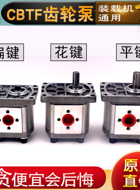 装载机小铲车行走泵CBTF306 316 320鲁工山宇莱工液压油泵齿轮泵
