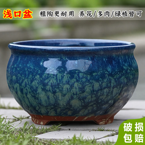大口径陶瓷花盆家用客厅阳台群生多肉花盆透气紫砂粗陶盆清仓特价