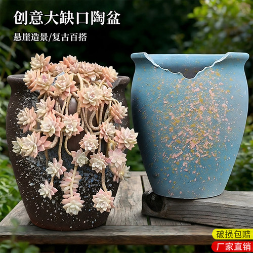多肉花盆陶瓷清仓特价家用大号创意缺口陶瓷花盆大口径紫乐老桩盆