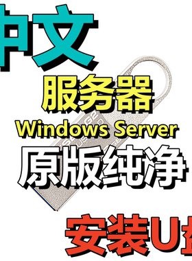 服务器 纯净系统安装 Win 11 10 Server 2025 2022 2019 2016 U盘