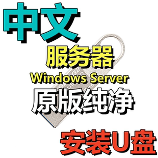 服务器 纯净系统安装 Win 11 10 Server 2025 2022 2019 2016 U盘
