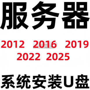 纯净版 服务器 server 2025 2022 2019 2016 2012 系统安装U盘