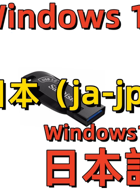 Word日语Excel PS CAD日文Windows 11系统安装版U盘Win 10 Office