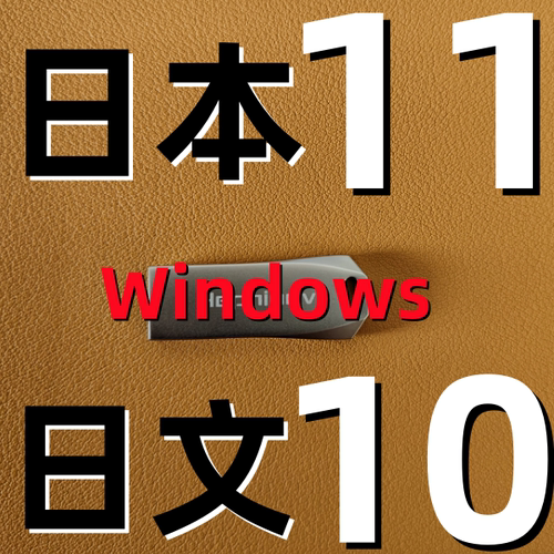 windows 10 纯净 win 11 日语日文 日版 日本系统iso 安装版u盘