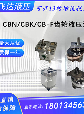 CBK齿轮泵CBN-F304 310 316动力单元榆次液压CB-FC40-FL油泵CBT-E