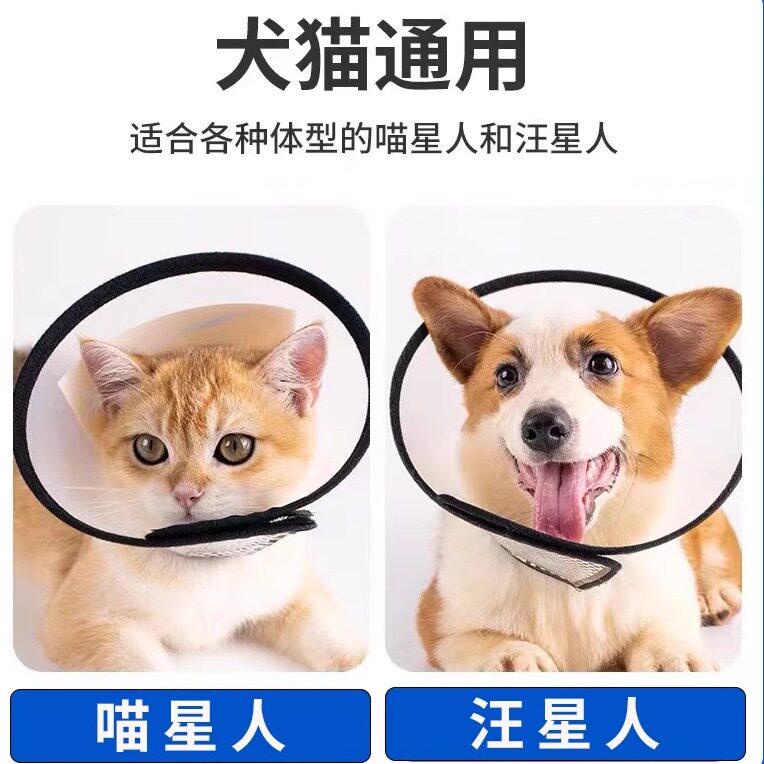 新品伊丽莎白圈狗狗嘴套猫咪通用防抓咬舔头套幼大型犬猫宠物用品