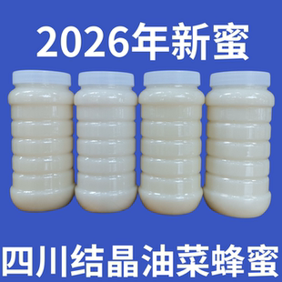 新鲜油菜花蜂蜜2026年新蜜白蜜自产自销 结晶春封盖成熟雪蜜 包邮