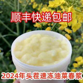 蜂王浆2024年头茬速冻新鲜油菜春浆500克正品蜂乳高品质蜂皇浆