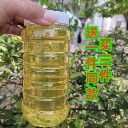 柑橘蜂蜜2026年农家自产新鲜成熟橘子蜜桔子蜜柑橘花蜜2斤橙花蜜