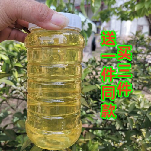 浓香型柑橘蜂蜜新鲜成熟桔子蜂蜜