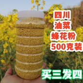 新鲜食用油菜蜂花粉农家自产四川菜花粉前列腺男500克