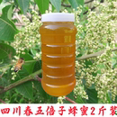 2024年春五倍子蜂蜜农家自产成熟原蜜浓香型药材蜂蜜2斤