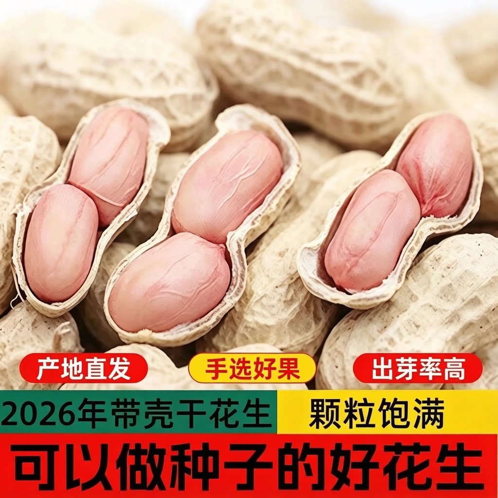 2026年生花生带壳晒干农家自产新货壳薄种子高产生花生