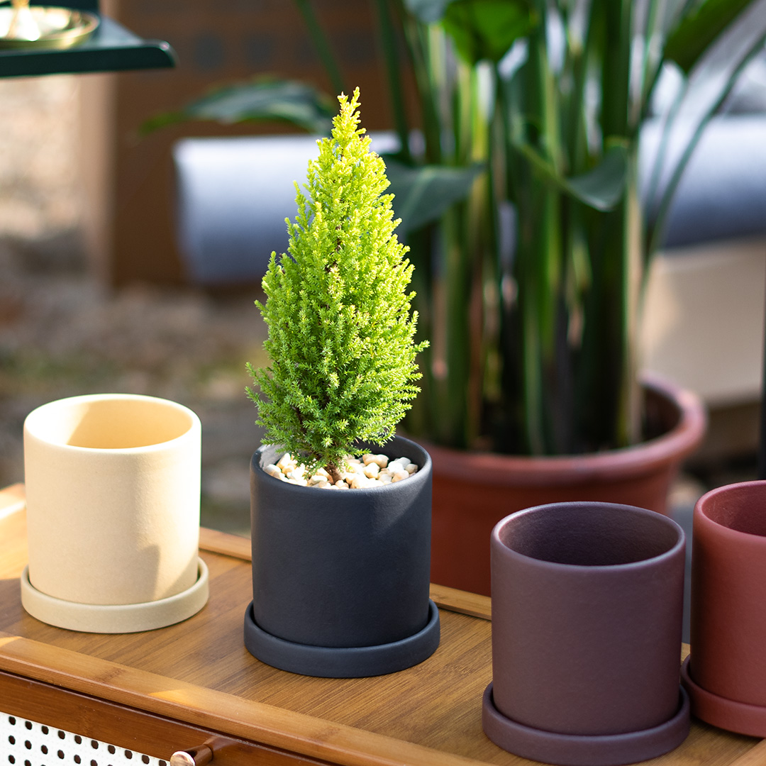 香松窗台庭院趣味美观好看