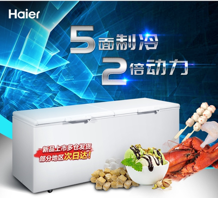 Haier/海尔BC/BD-519/719大冰柜冷冻冷藏保鲜肉柜食品商用柜单温