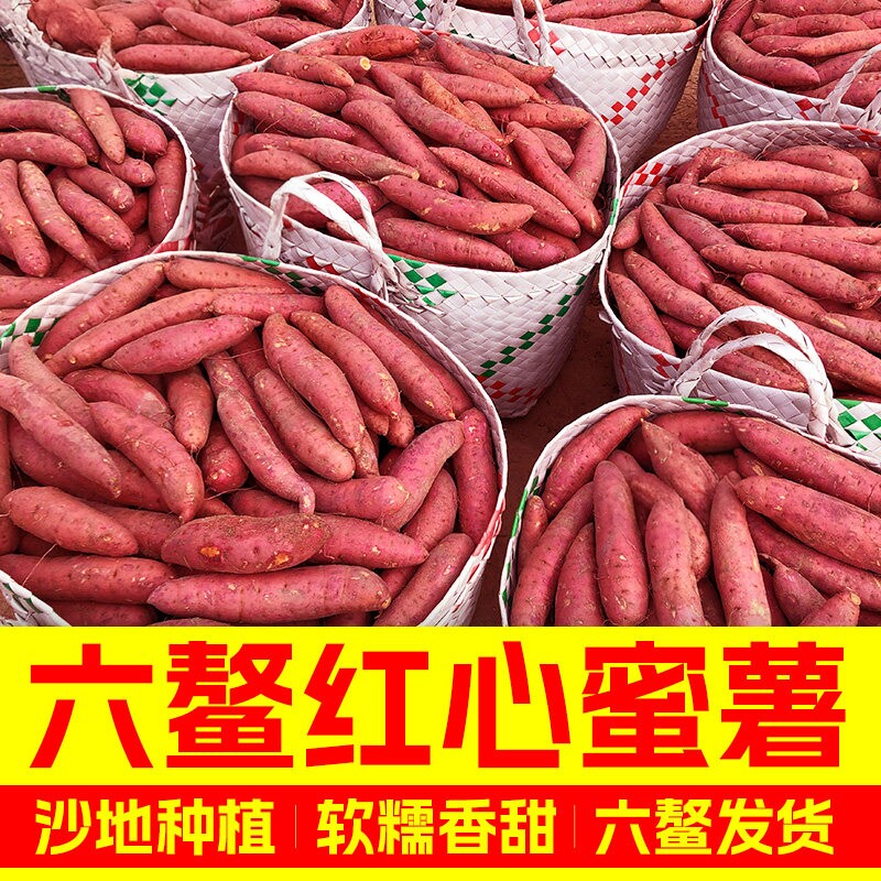 福建漳州六鳌红蜜薯新鲜红心红薯番薯