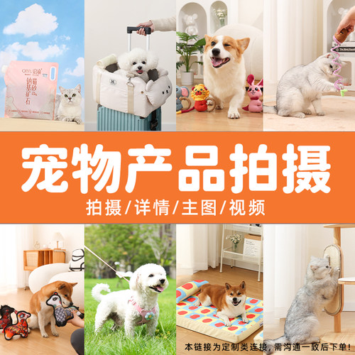 宠物产品用品电商广告拍摄摄影设计服务亚马逊狗狗猫咪模特可精修