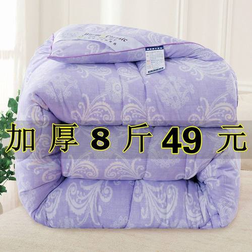 被子被芯双人被加厚冬被