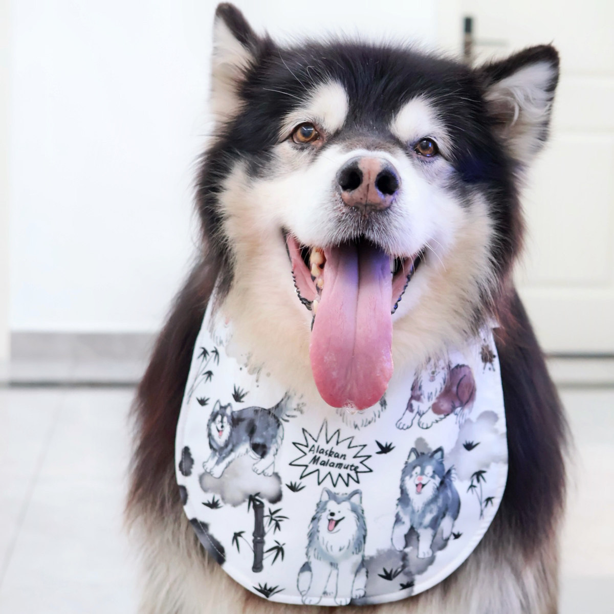 原创阿拉斯加水墨系列周边 松紧围兜 大型犬口水巾 三层加厚 灰桃,宠物/宠物食品及用品,围巾/口水巾,淘宝优惠券,粉丝福利购,淘宝优惠卷
