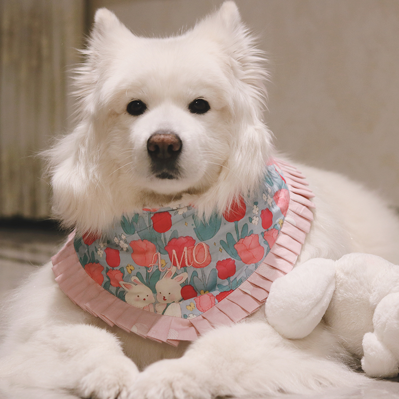 QIQIPET宠物围兜两用假领子