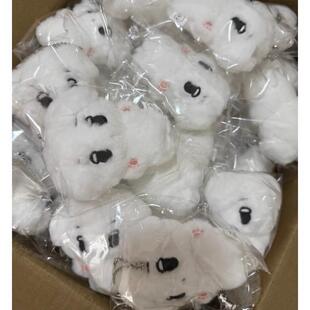 【国现】咖喱狗3.0 金玟庭 金旼炡 winter 咖喱狗 冬娃 全新正版