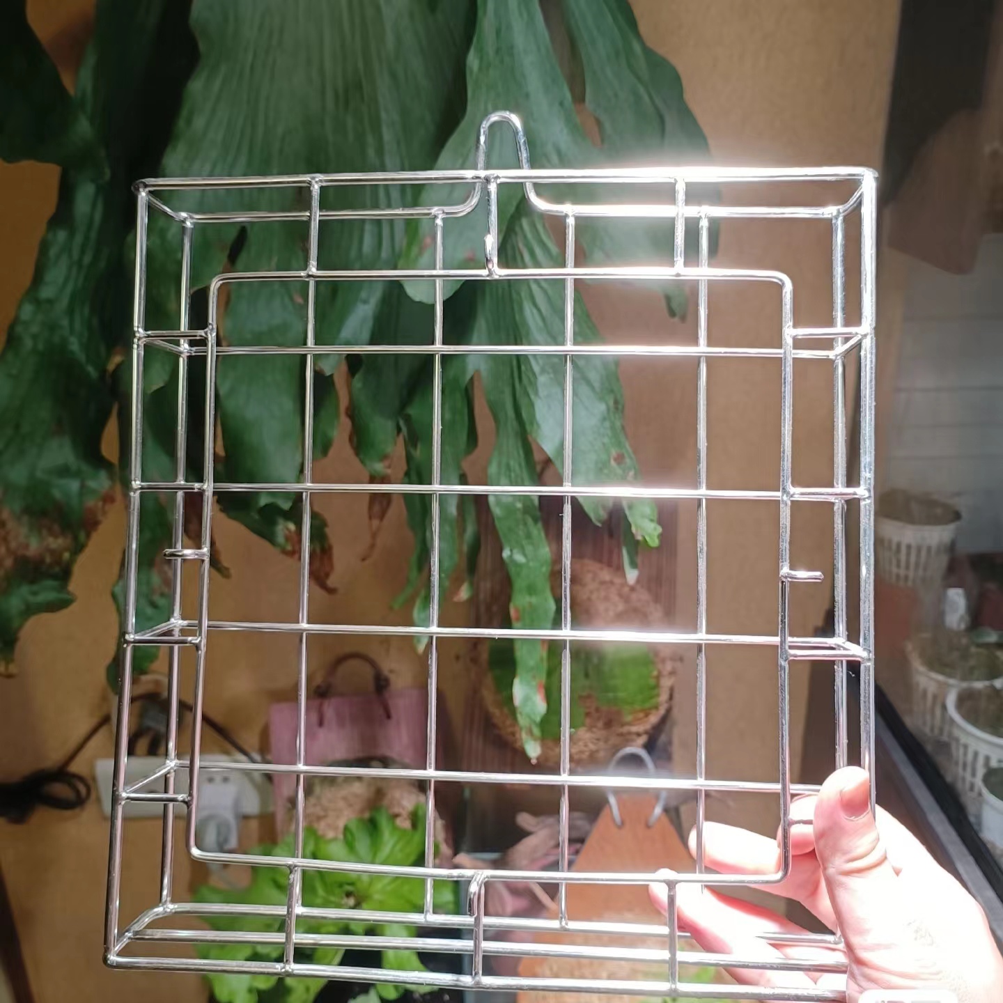 鹿角蕨 蝴蝶兰 空凤 附生植物 304不锈钢 种植盆 框 篮 量大优惠