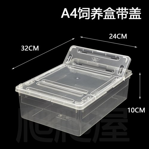 掌上名蛛新款A4带盖爬宠饲养盒爬柜A4盒豹纹守宫抽屉玩具蛇抽拉盒