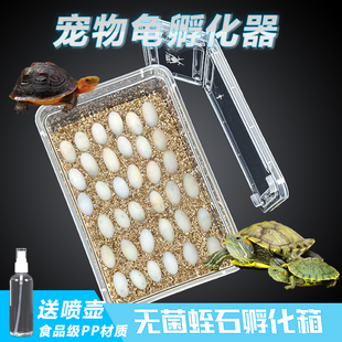 爬宠种龟蛋孵化器无菌蛭石守宫蛇蛋蜥蜴孵化箱保湿透气乌龟孵化盒