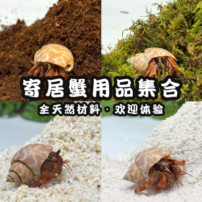 寄居蟹专用椰土苔藓珊瑚沙