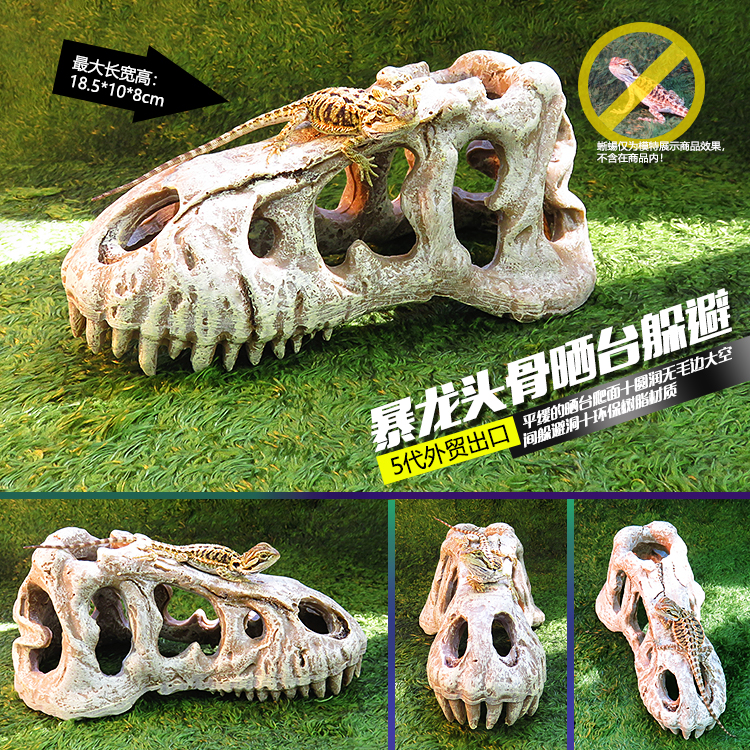 爬虫饲养箱造景头骨蜥蜴守宫躲避
