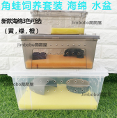 造景 角蛙饲养盒套装 角蛙饲养箱角蛙缸 角蛙生化棉 角蛙海绵水盆