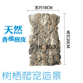 香槟木树皮爬虫树栖蜘蛛守宫蜥蜴躲避饲养箱造景树皮空气凤梨定植