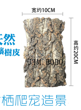 香槟木树皮爬虫树栖蜘蛛守宫蜥蜴躲避饲养箱造景树皮空气凤梨定植