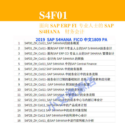 SAP S4HANA FICO模块PA文档 SAP FICO财务与控制模块中文版PA资料