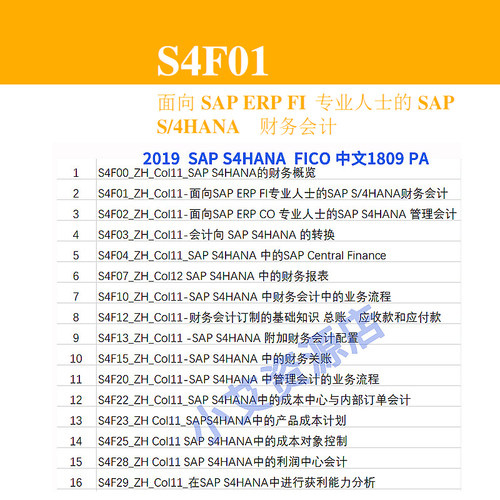 SAP S4HANA FICO模块PA文档 SAP FICO财务与控制模块中文版PA资料